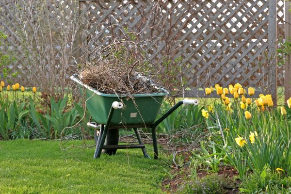 Flower Bed Cleanup Service in Wentzville