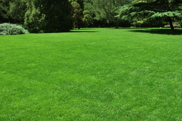 Lawn Landscaping in Wentzville