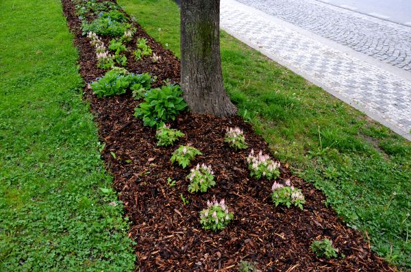 Mulch Placement