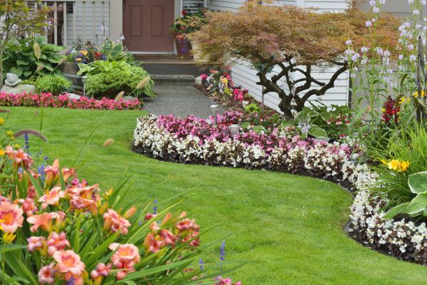 Perennial Landscaping