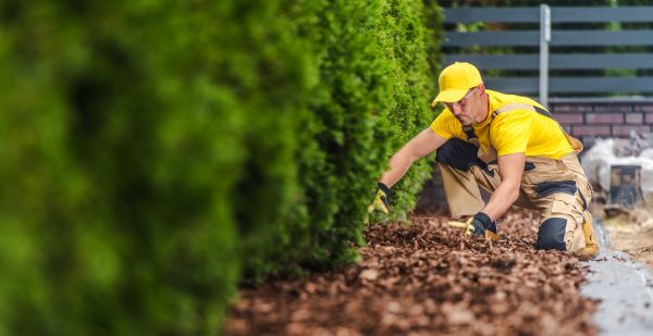 Cypress Mulch Installation in Wentzville