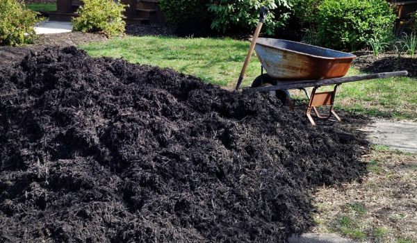 Black Mulch Installation