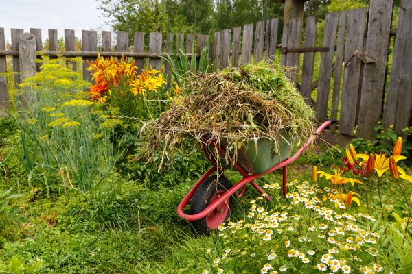 Garden Cleanup Service in Wentzville