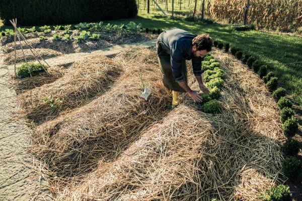 Straw Mulching Service