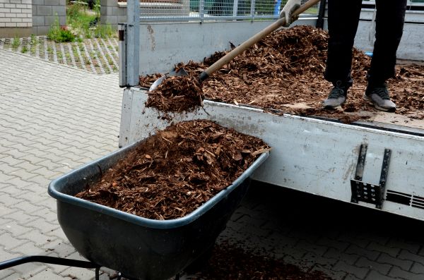 Mulch Replenishment