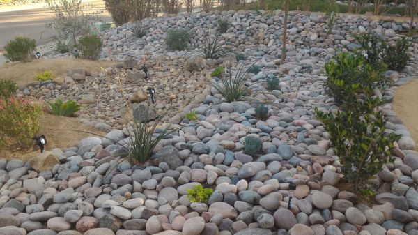 Yard Xeriscaping in Wentzville