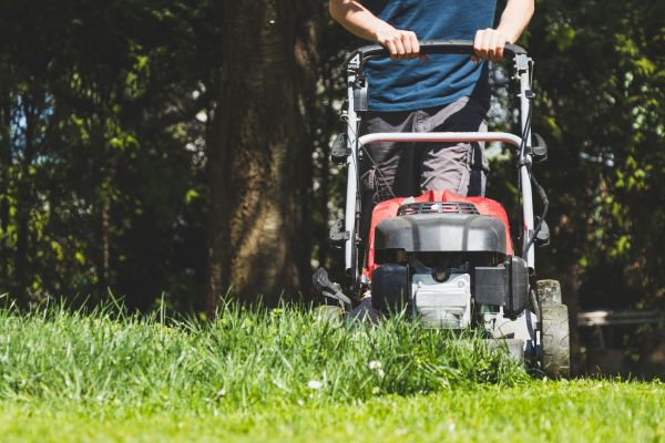 Garden Trimming Service in Wentzville