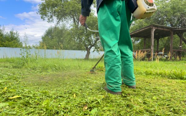 Weed Management Service