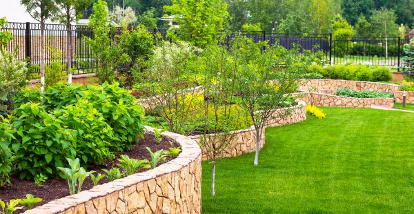 Yard Makeover Service in Wentzville