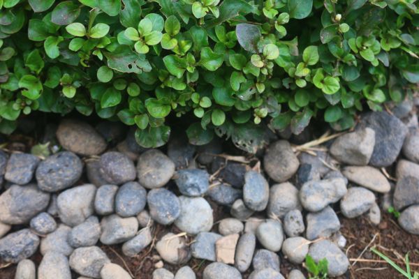 River Stone Installation in Wentzville