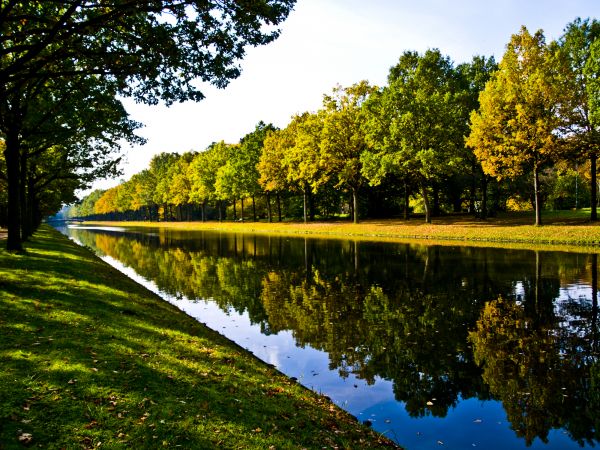 Bank Landscaping in Wentzville