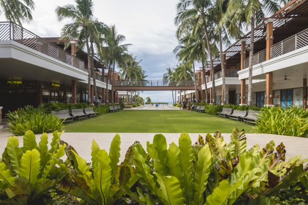 Commercial Lawn Renovation in Wentzville