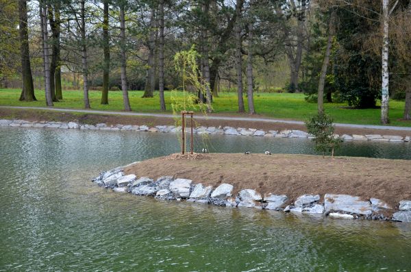 Pond Landscaping Service in Wentzville