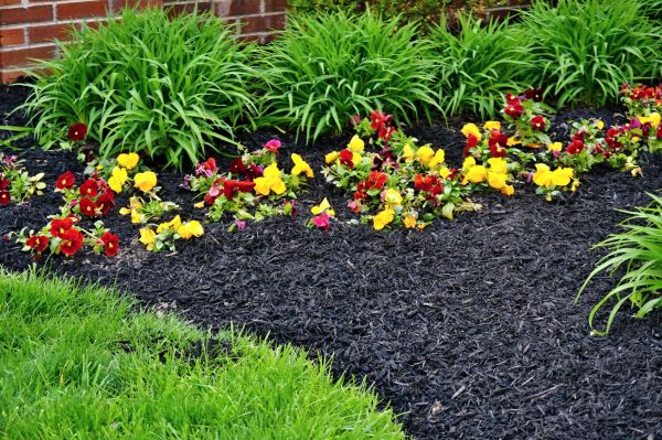 Apartment Mulching in Wentzville