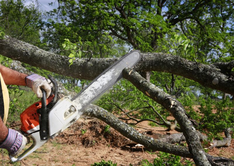 Tree Installation Service detail